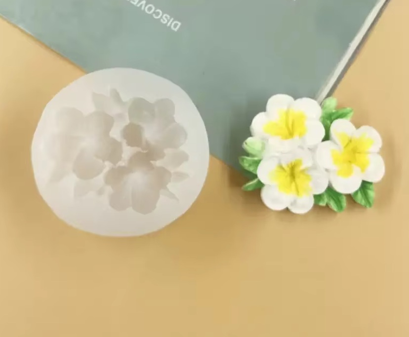 Kreativní silikonová forma Květy plumerie