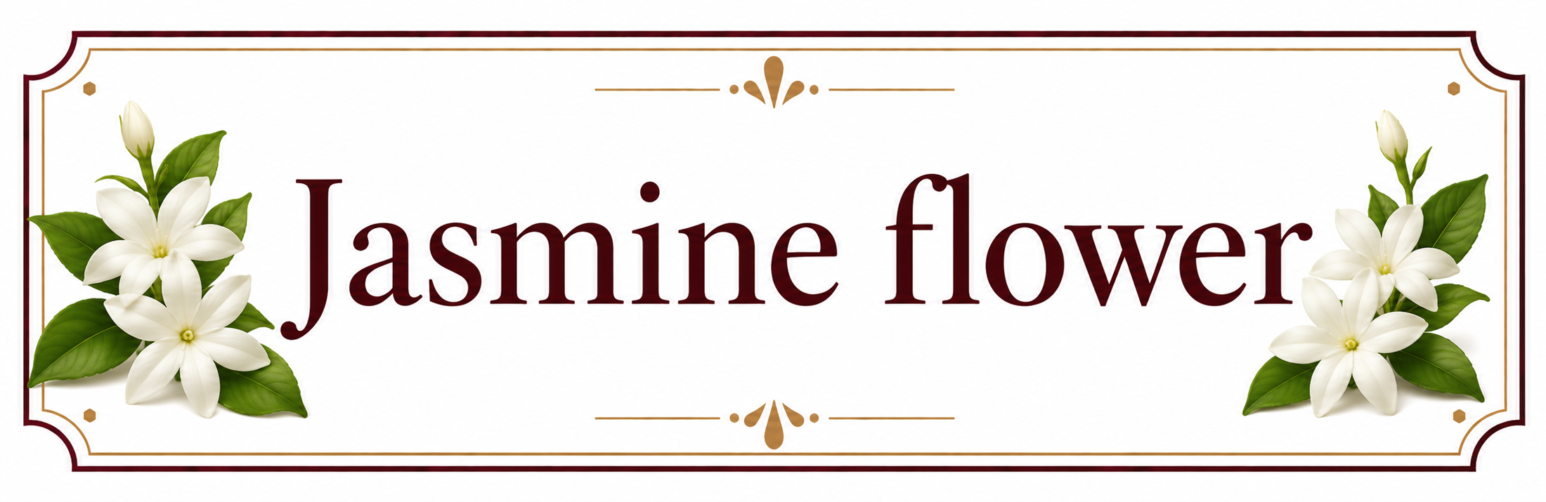 Jasmine Flower – parfémová kompozice