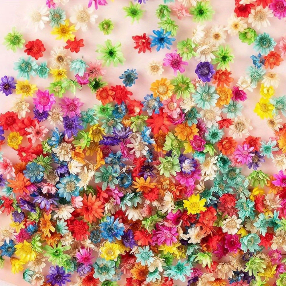 Sušené hvězdičkové květy Brazilian Star Flower – 1 g