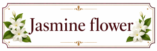 Jasmine Flower – parfémová kompozice